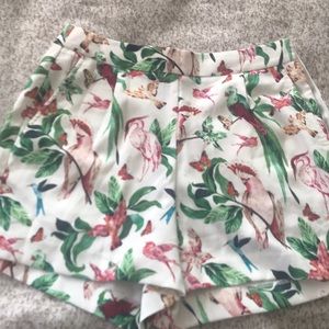 Floral shorts Ann Taylor size 2